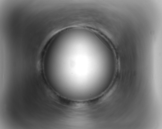 X0000088411501200706051144