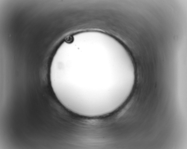 X0000088411502200706051144