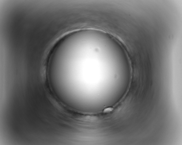 X0000088411503200706051144