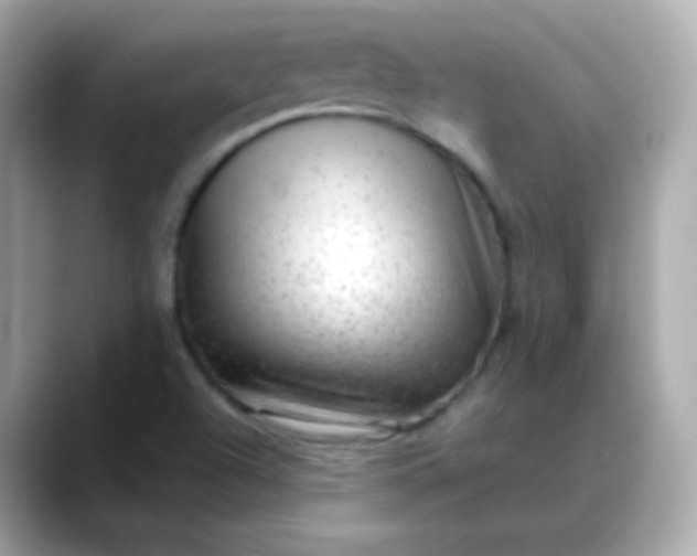 X0000088411504200706051144