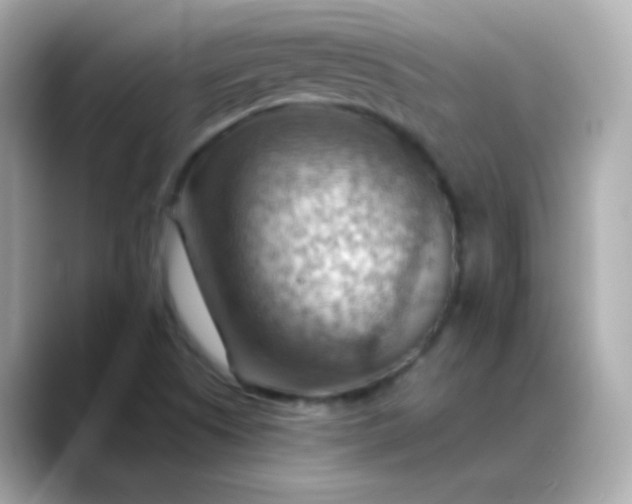 X0000088411505200706051144