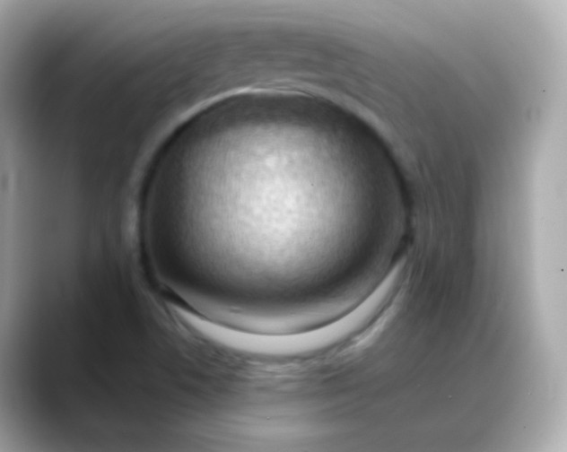 X0000088411506200706051144