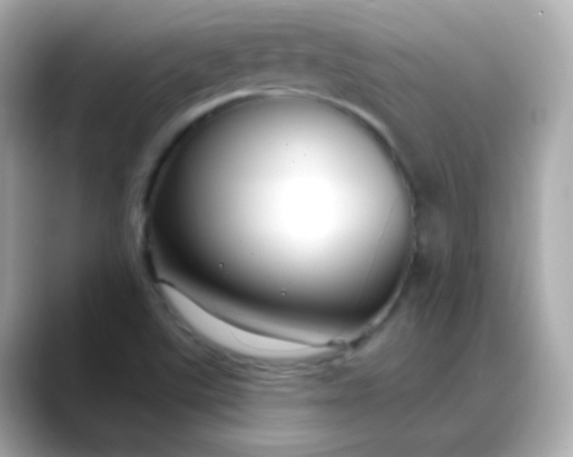 X0000088411507200706051144