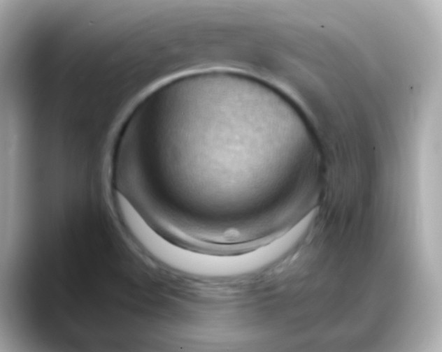 X0000088411508200706051144