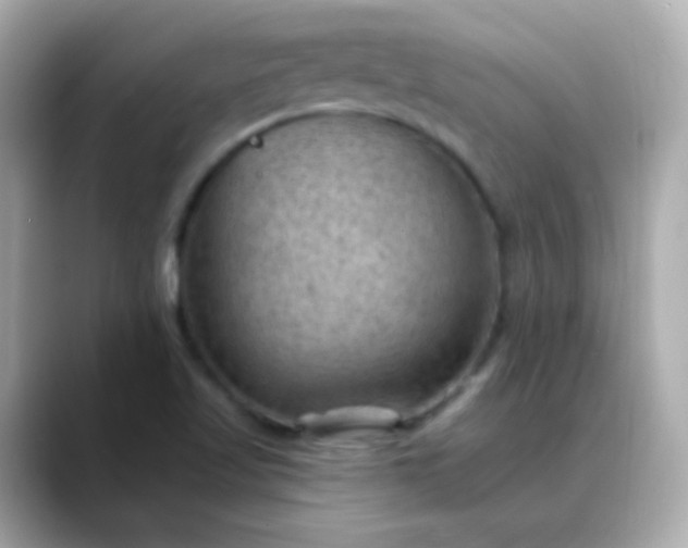 X0000088411509200706051144