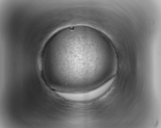 X0000088411510200706051144
