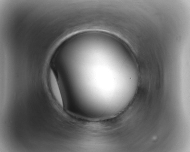 X0000088411511200706051144