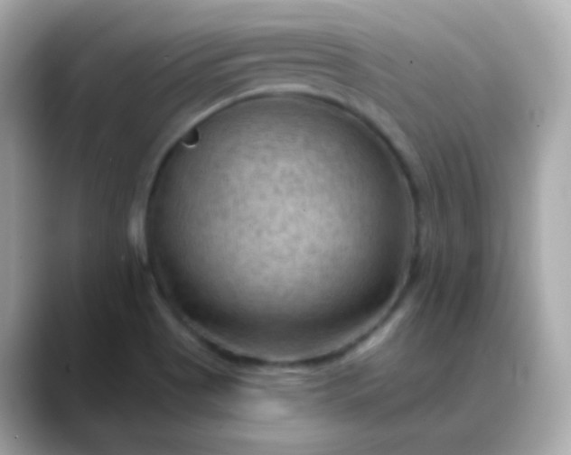 X0000088411513200706051144
