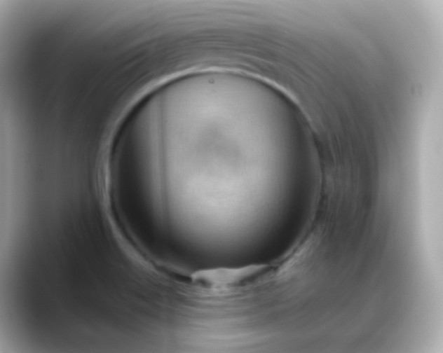 X0000088411515200706051144