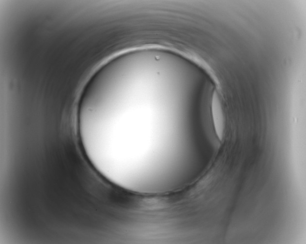 X0000088411516200706051144