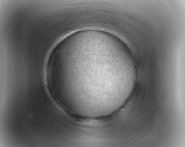 X0000088411517200706051144