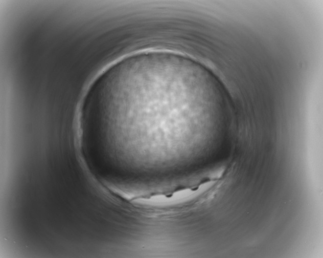 X0000088411522200706051144
