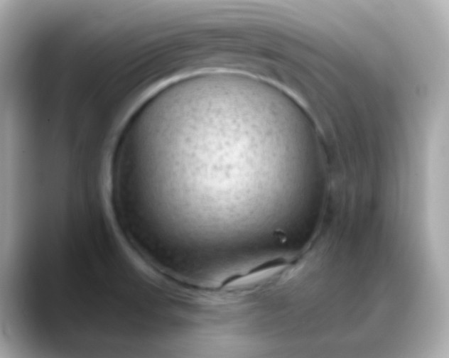 X0000088411523200706051144