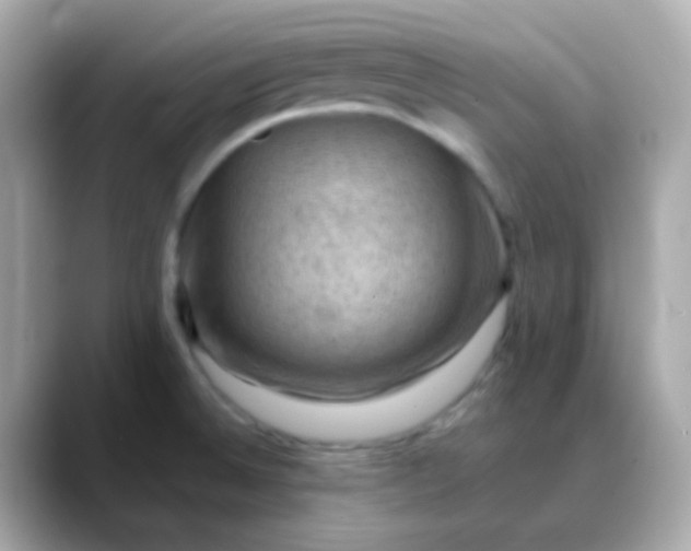 X0000088411524200706051144