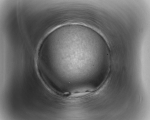 X0000088411525200706051144