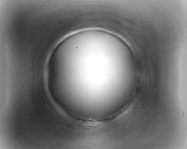 X0000088411526200706051144