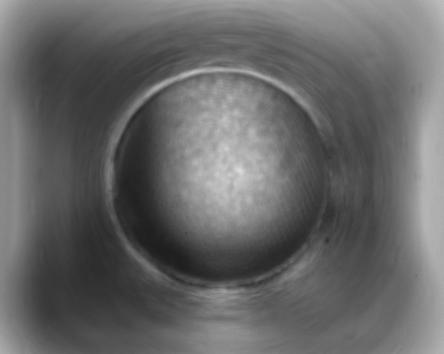 X0000088411527200706051144