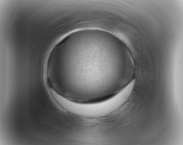 X0000088411528200706051144