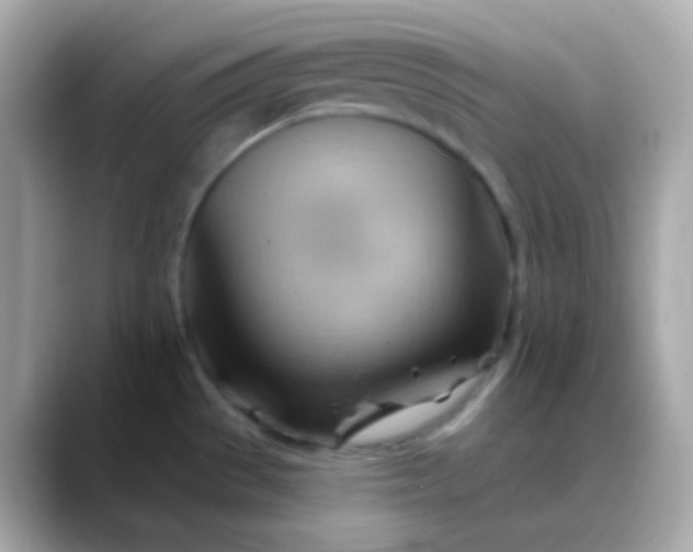 X0000088411529200706051144