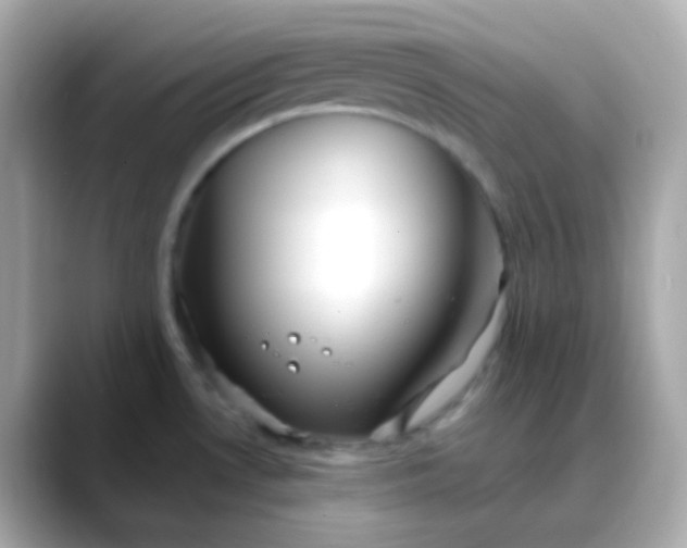 X0000088411530200706051144