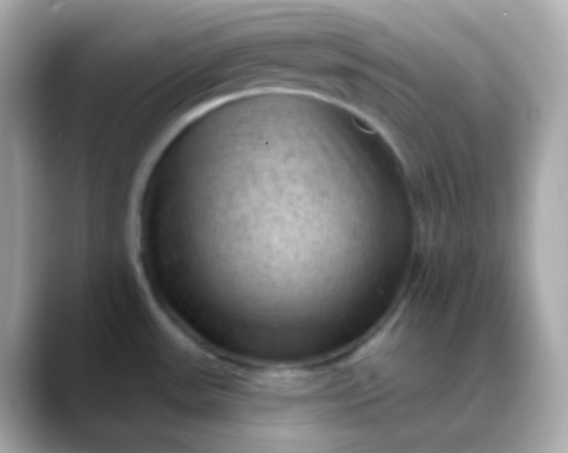 X0000088411531200706051144
