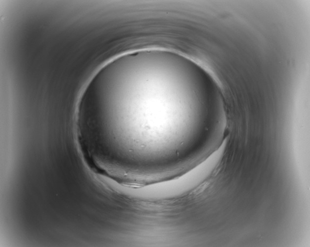X0000088411532200706051144