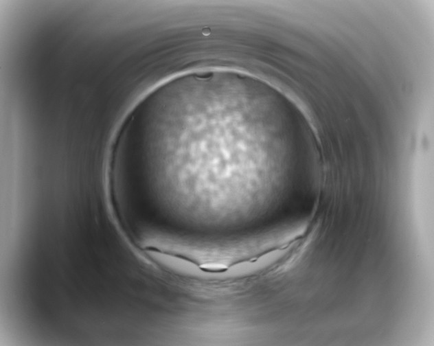 X0000088411533200706051145