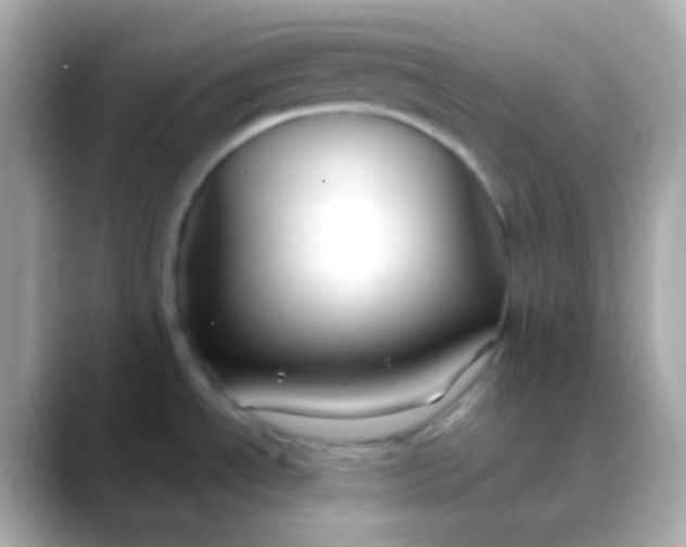 X0000088411534200706051145