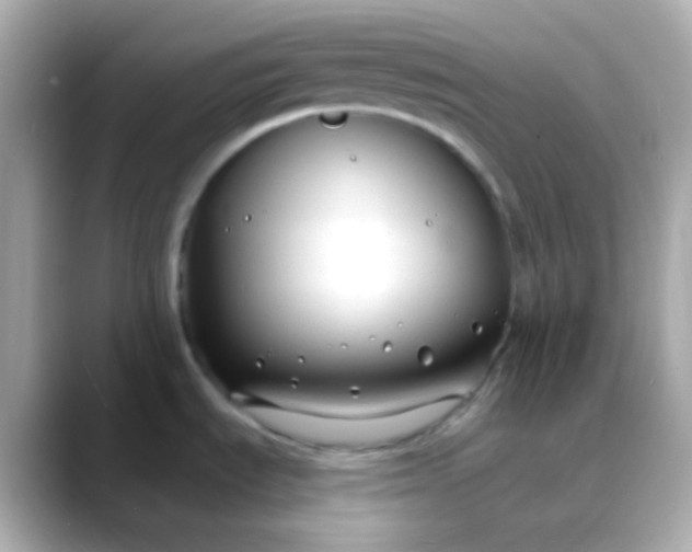 X0000088411535200706051145