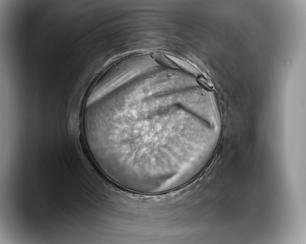 X0000088410002200706121423