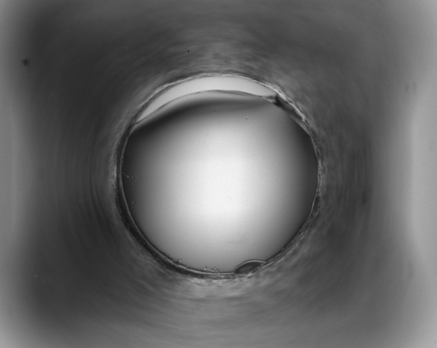 X0000088410005200706121423