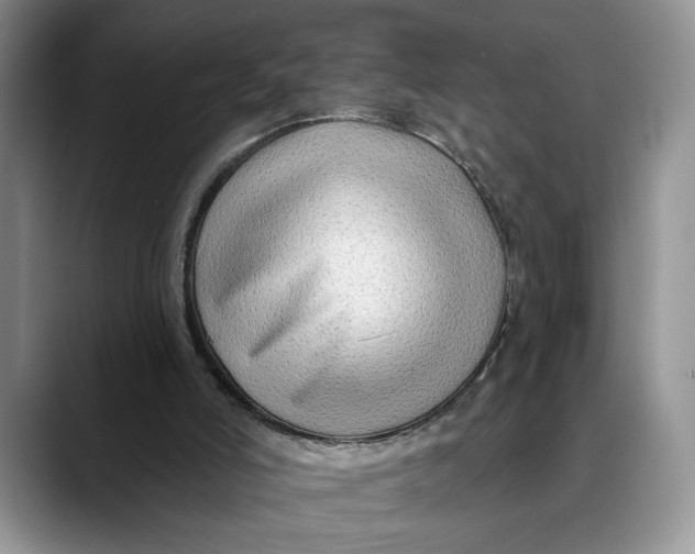 X0000088410006200706121423