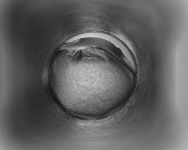 X0000088410009200706121423