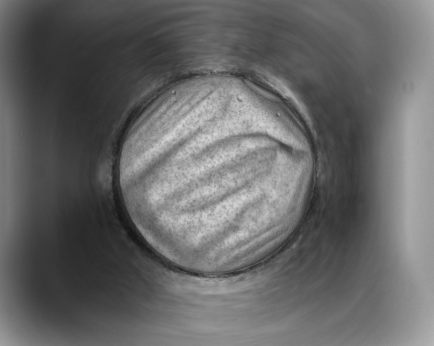 X0000088410010200706121423