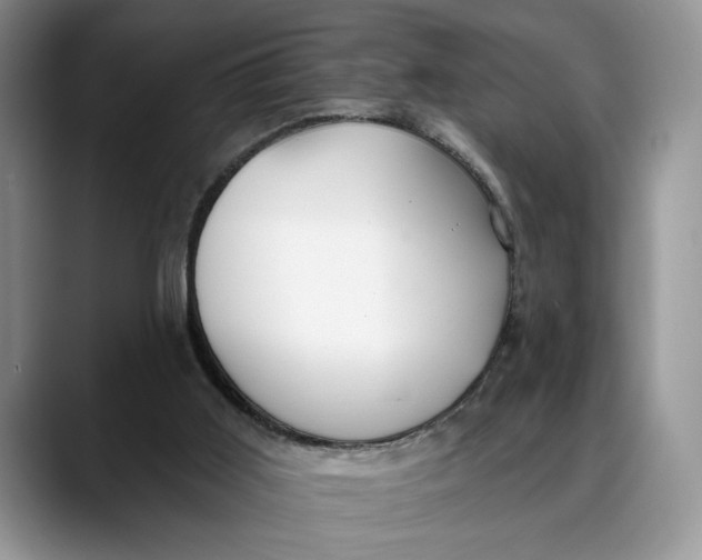 X0000088410011200706121423