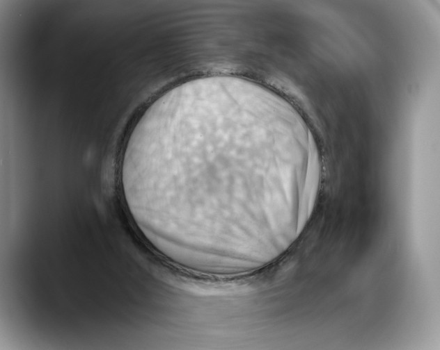 X0000088410012200706121423