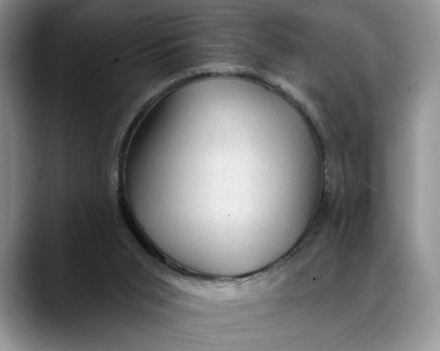 X0000088410015200706121423