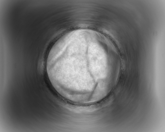 X0000088410016200706121423