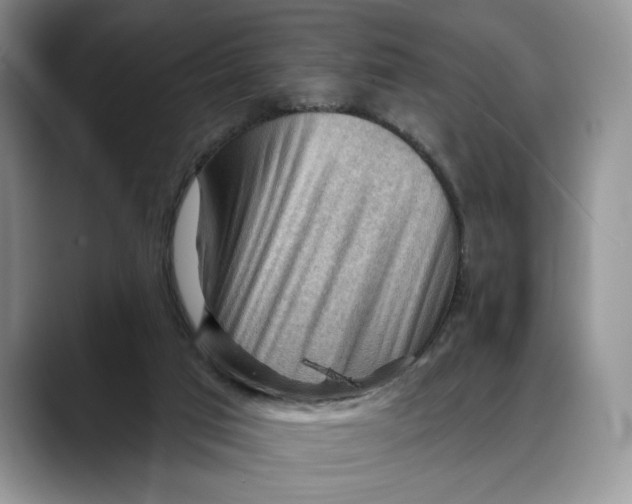 X0000088410017200706121423