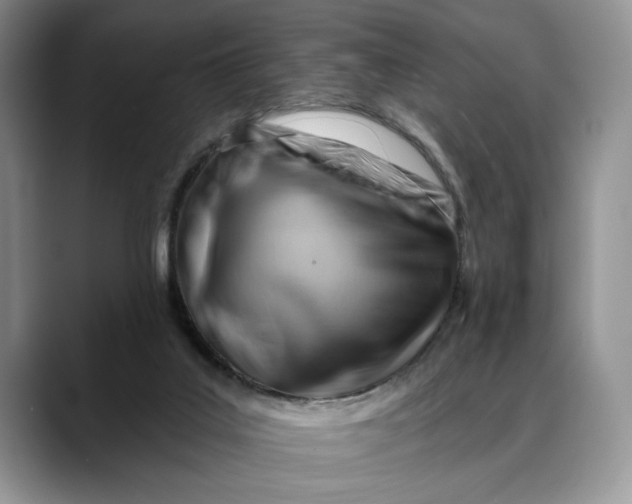 X0000088410019200706121423