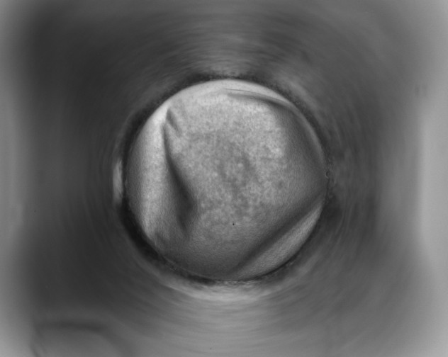 X0000088410020200706121422