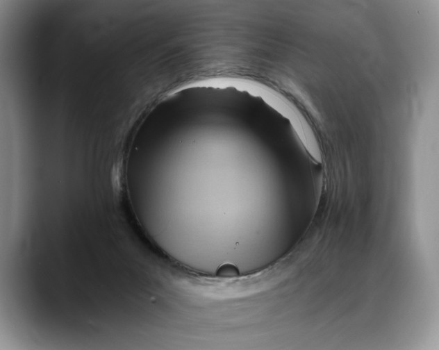 X0000088410023200706121422