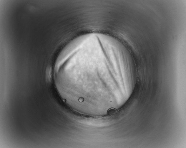 X0000088410024200706121422