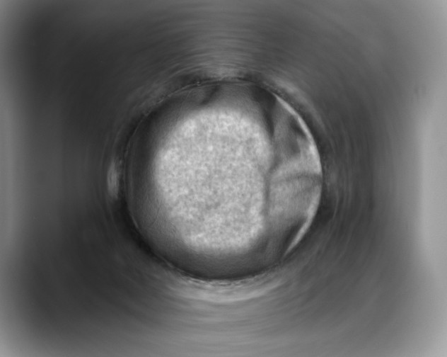 X0000088410026200706121422