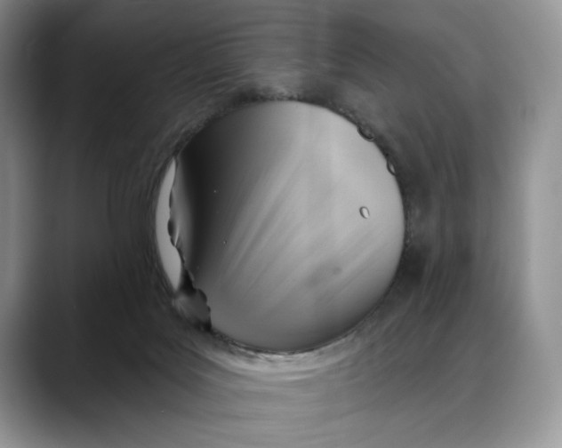 X0000088410027200706121422