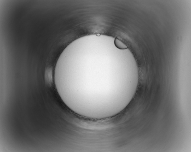 X0000088410028200706121422