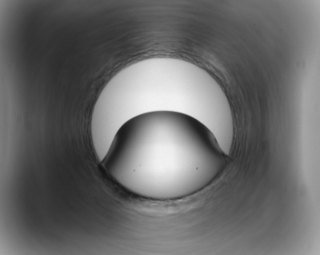 X0000088410029200706121422