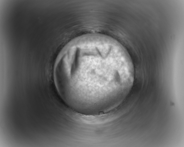 X0000088410030200706121422