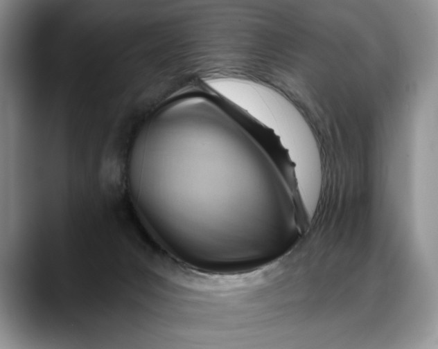 X0000088410031200706121422