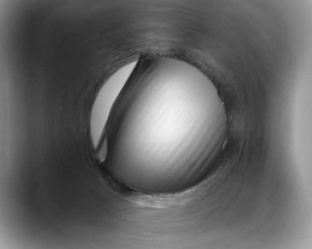 X0000088410033200706121422